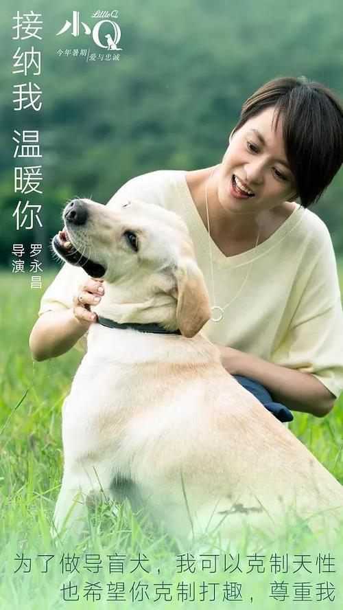 哪里可以办澳门科技大学成绩单